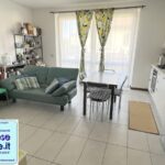 003bibizaca