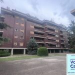 004vamovimopeprqu