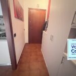 012vamovimopeprqu